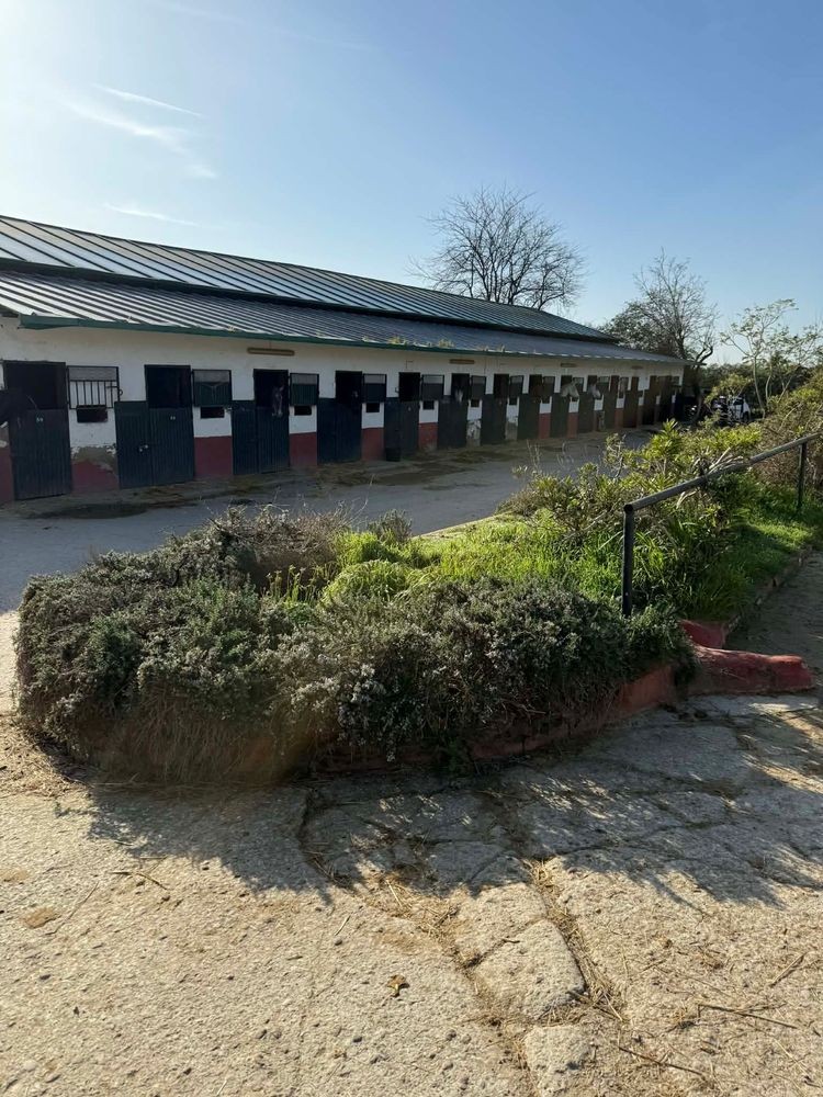 Diakép illusztrácio 1